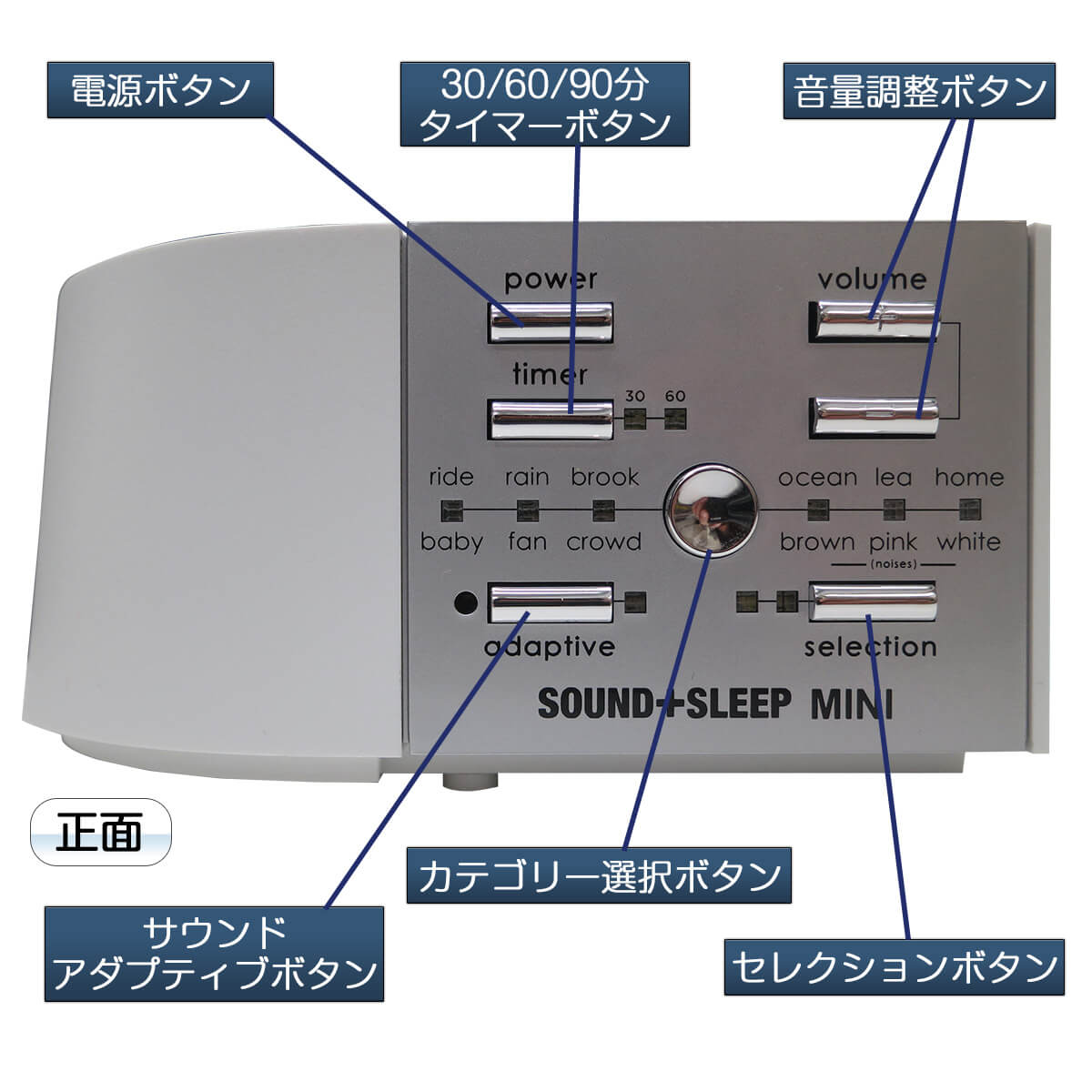 ドーミンの各部名称2