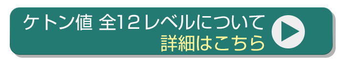 レベル別の状況詳細