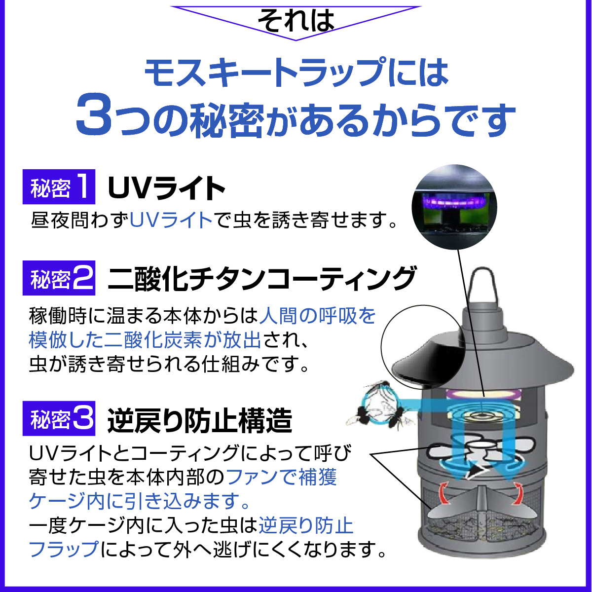 モスキートラップの3つの秘密