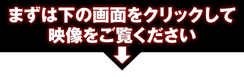 映像をご覧ください