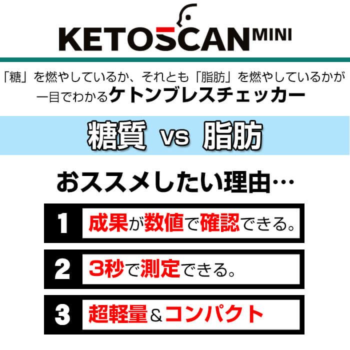 糖質制限 脂肪 燃焼 可視化 ケトンメーター ケトスキャンmini KETOSCAN スマホ アプリ 息を吹き込むだけ ケトン体 ケトン値 体重計  成果 効果 数字 測定